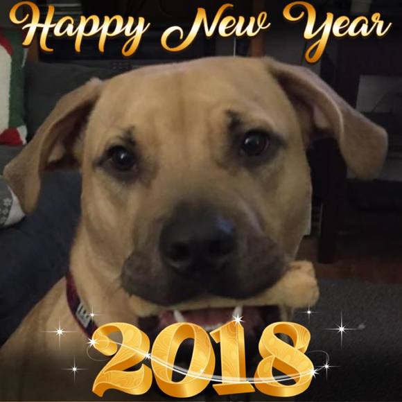 Meet your Posher, Phyllis - Picture 1 of 1